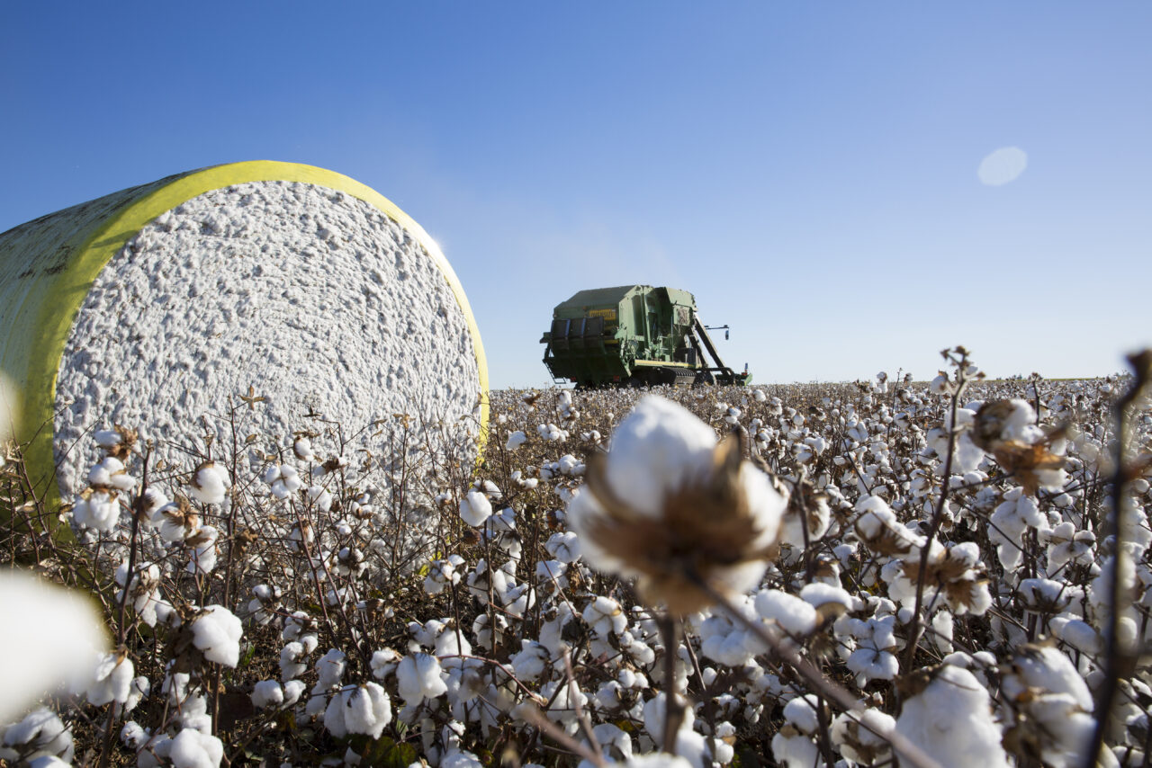 Moisture is the Enemy: Navigating the Challenges of Round Module ...