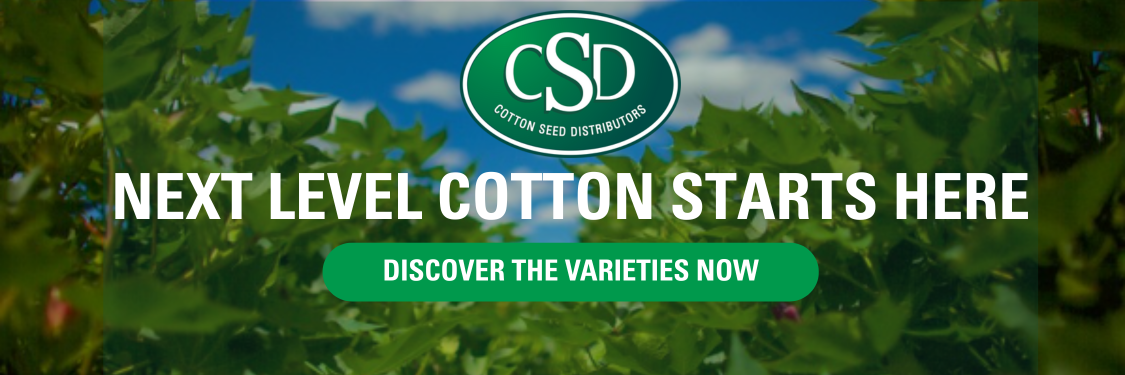 2025 varieties banner