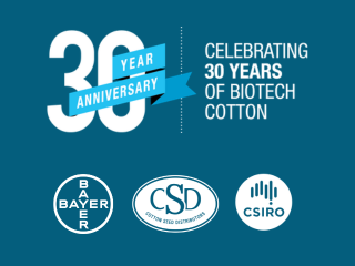 Celebrating 30 years of Bt cotton