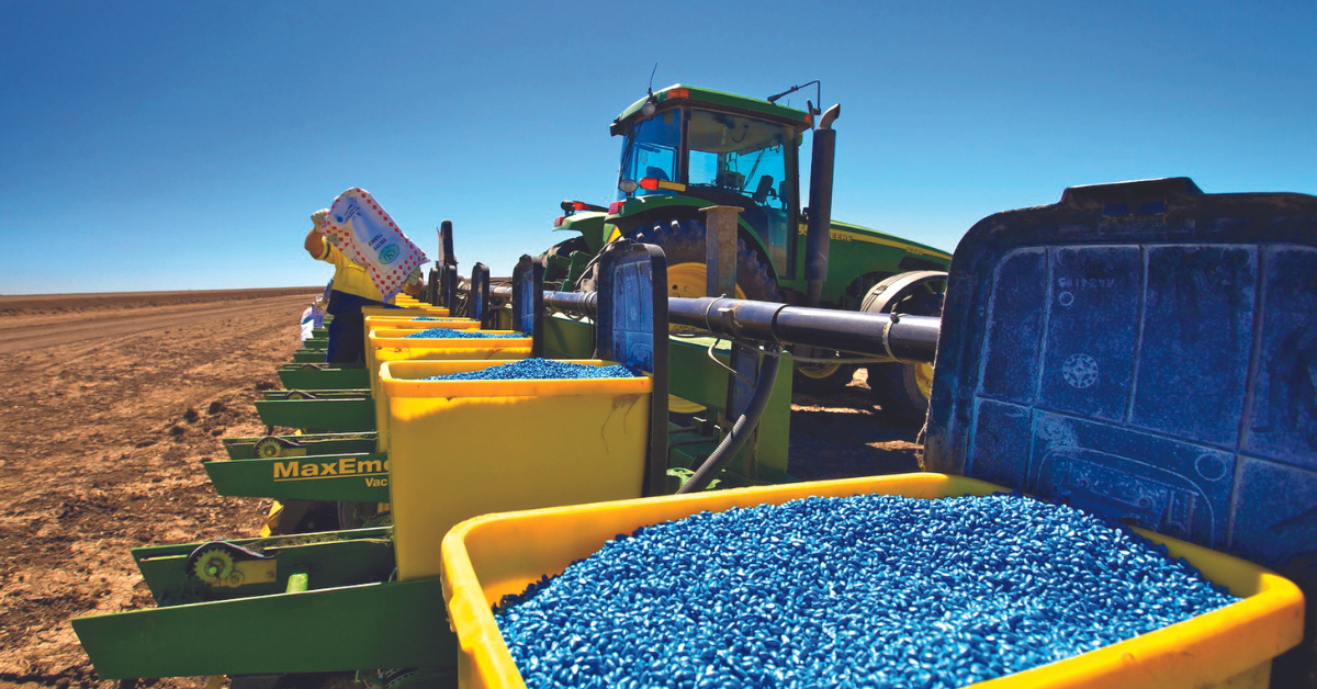 Precision planting lays the groundwork for a uniform plant stand and strong yields