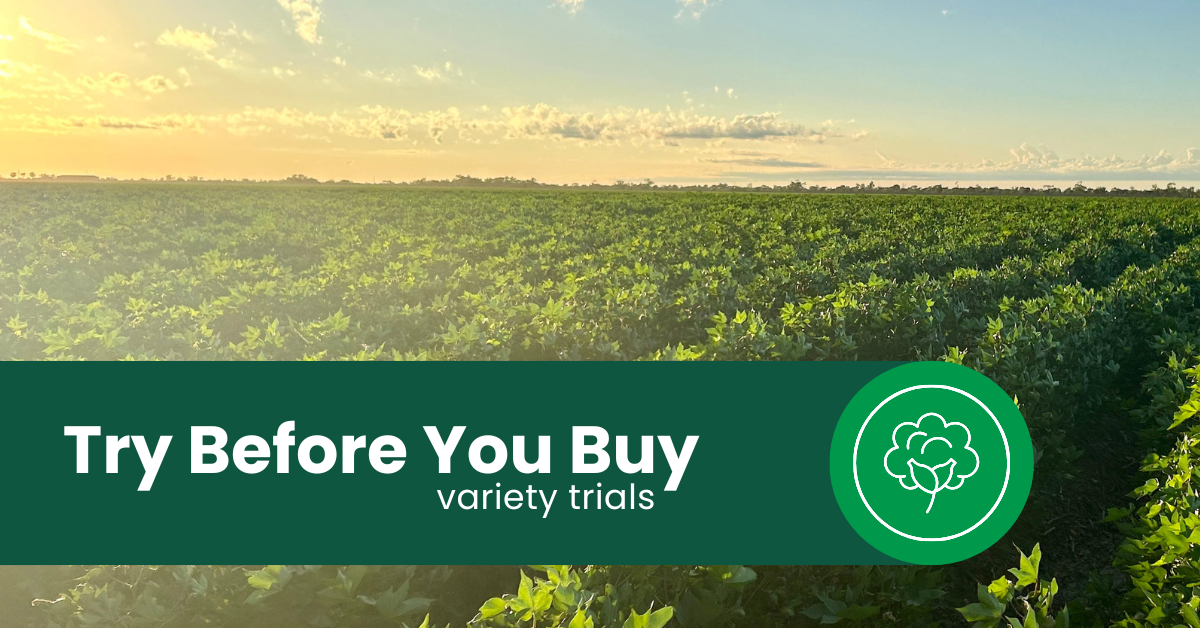 Case Study: Try Before You Buy – Sicot 619B3XF vs Sicot 714B3F in NSW’s Upper Namoi
