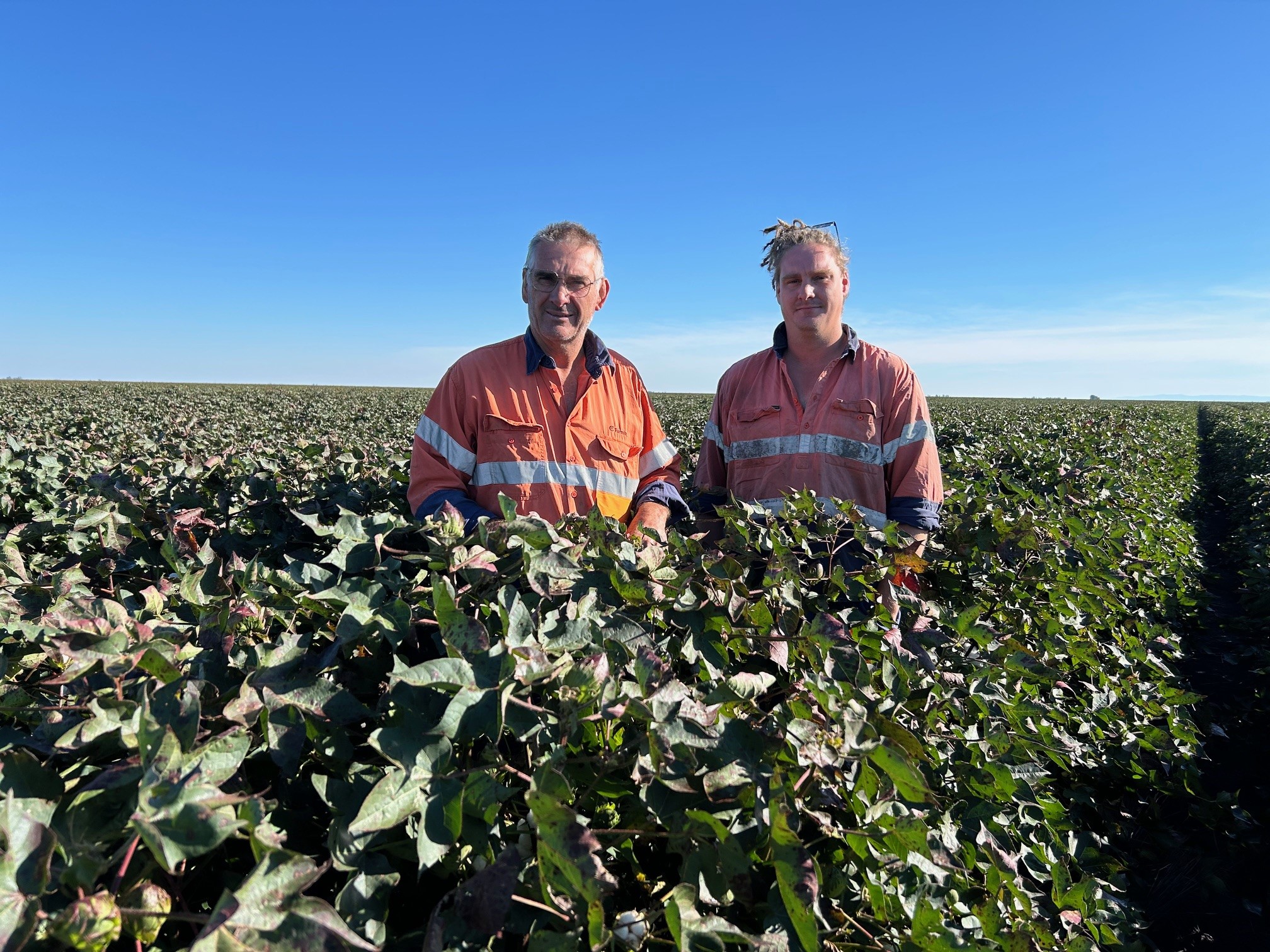 ‘Cowboy’ rides back into FastStart™ Cotton Establishment Awards