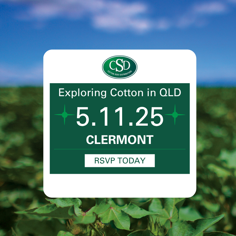 From grains to gains: Exploring cotton in central QLD