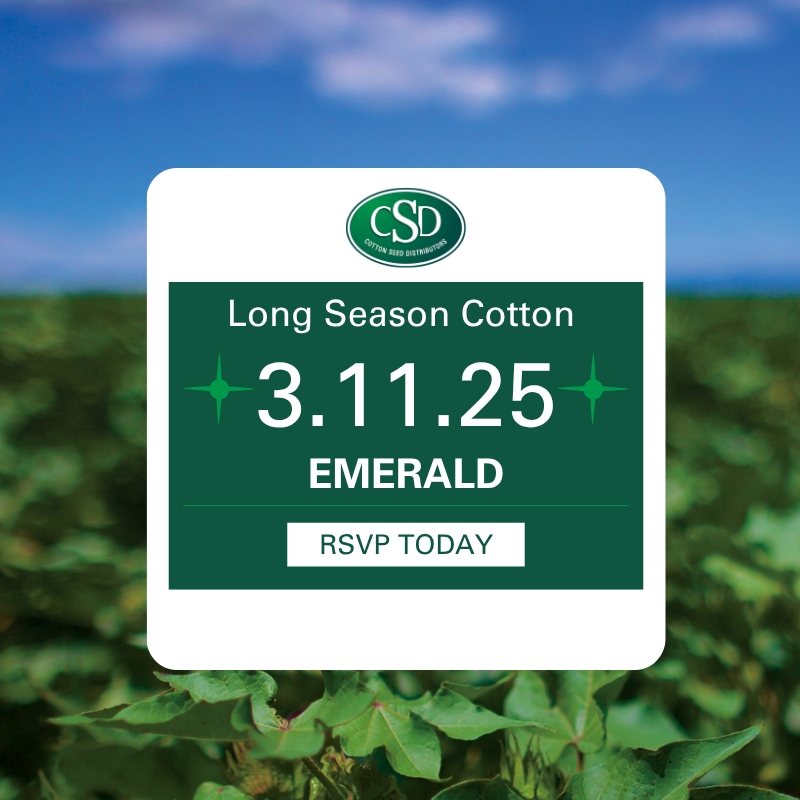 Long Season Cotton summary meeting