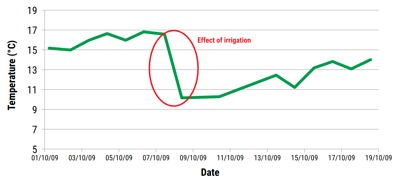 Federation Farm soil temperature at 9am EST.