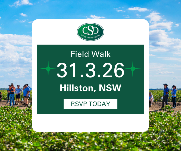 Hillston Cotton Variety and Management Field Walk