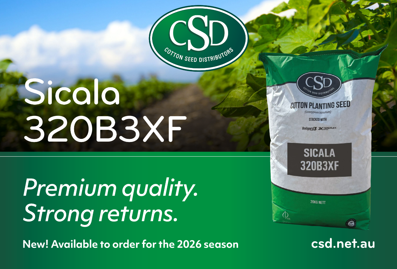 New cotton variety delivers premium fibre quality benefits to growers