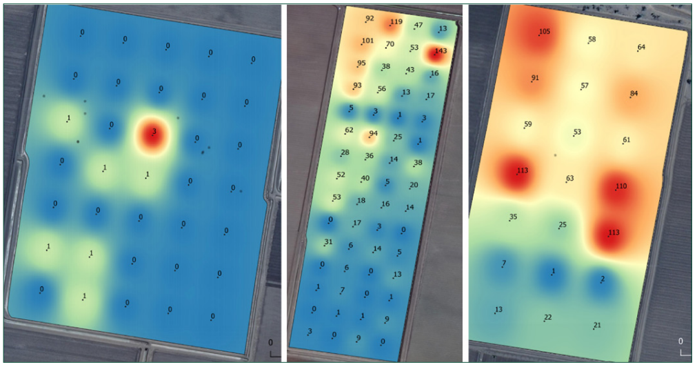 Soil Health - “What level of disease are in my soils?”.