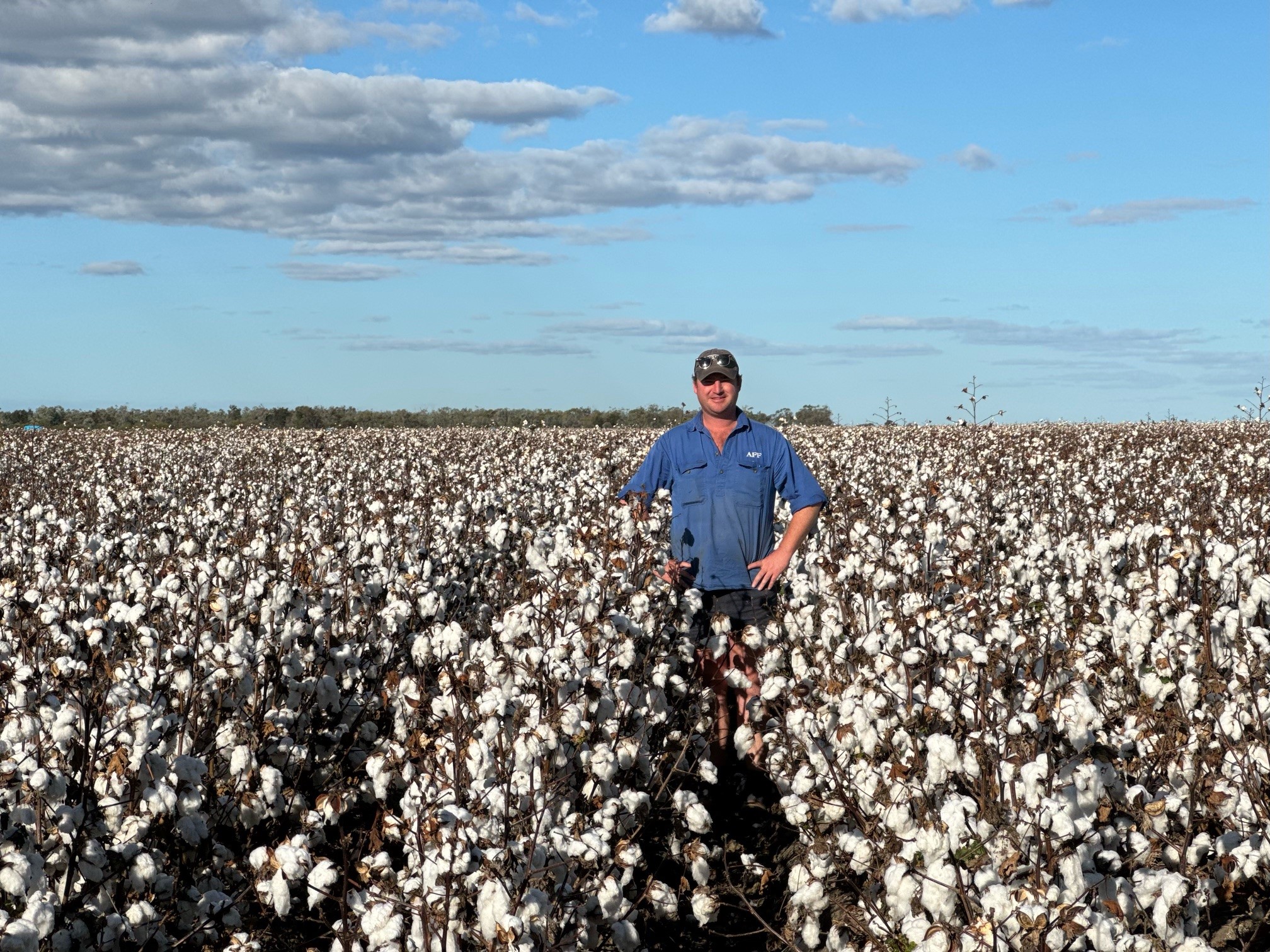 Regional winners turn cotton tools to their establishment advantage