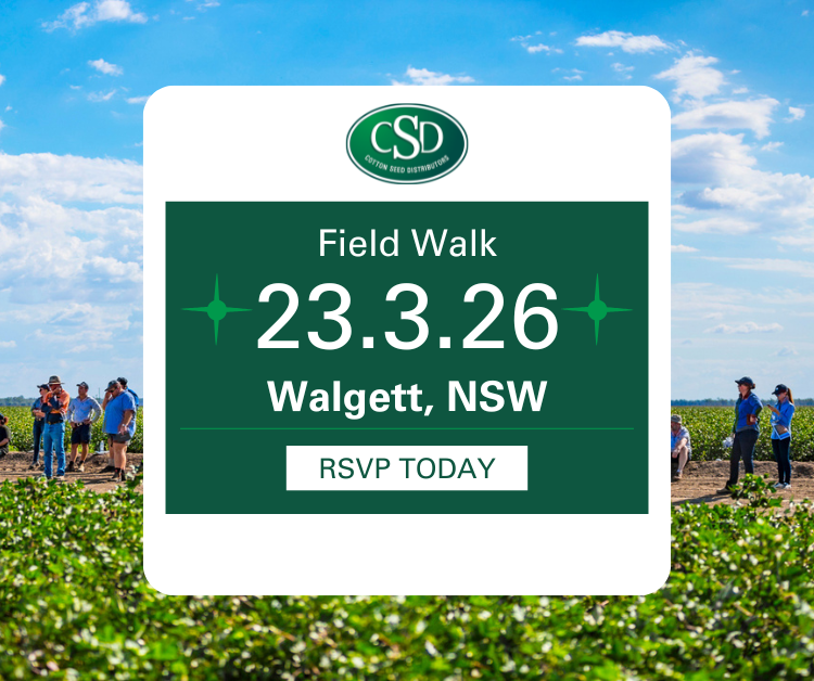 Walgett Cotton Variety and Management Field Walk